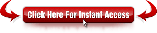 Instant Access 2 1